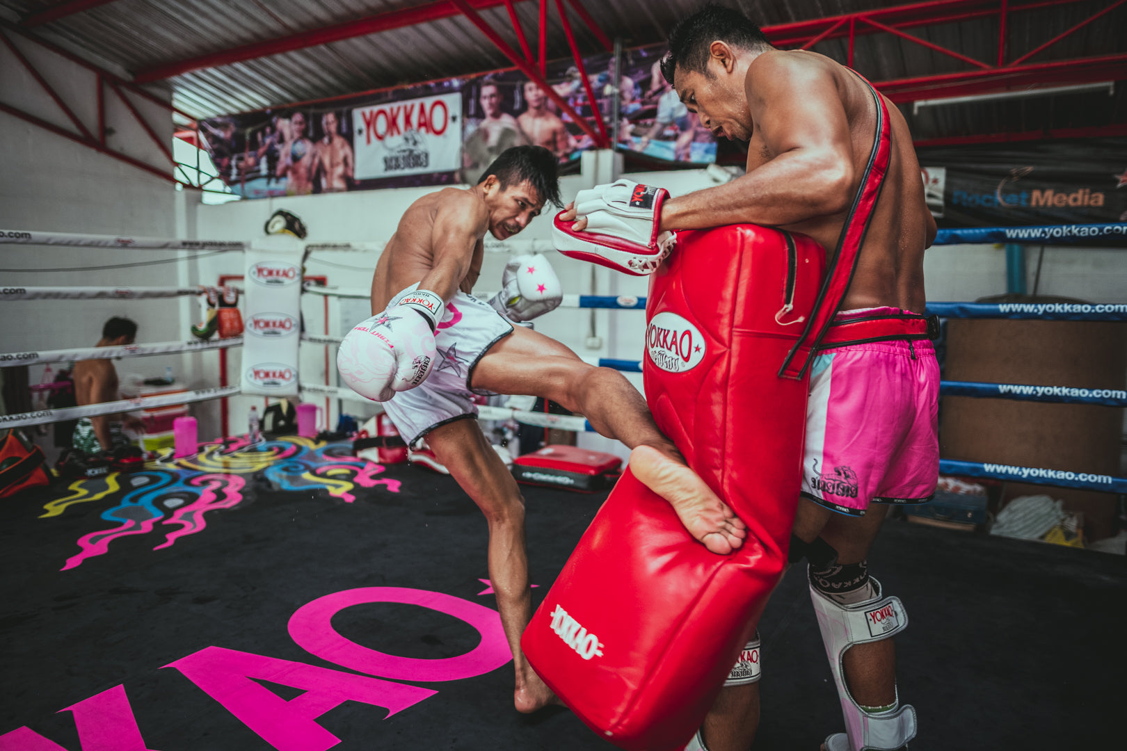 Muay Thai Kickboxing The Garuda Socks by KewaleeTee