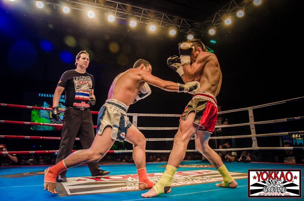 YOKKAO 16 videos Unlocked and Upcoming News!-YOKKAO