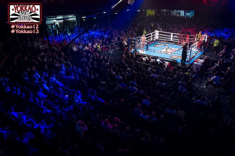 YOKKAO Triples up in UK: London the coming Target!-YOKKAO