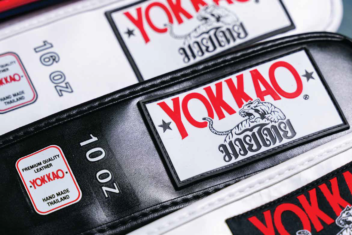 Boxing Fighters Gym Session