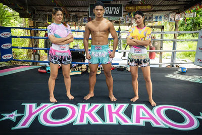 Muay Thai Kick Boxing Close
