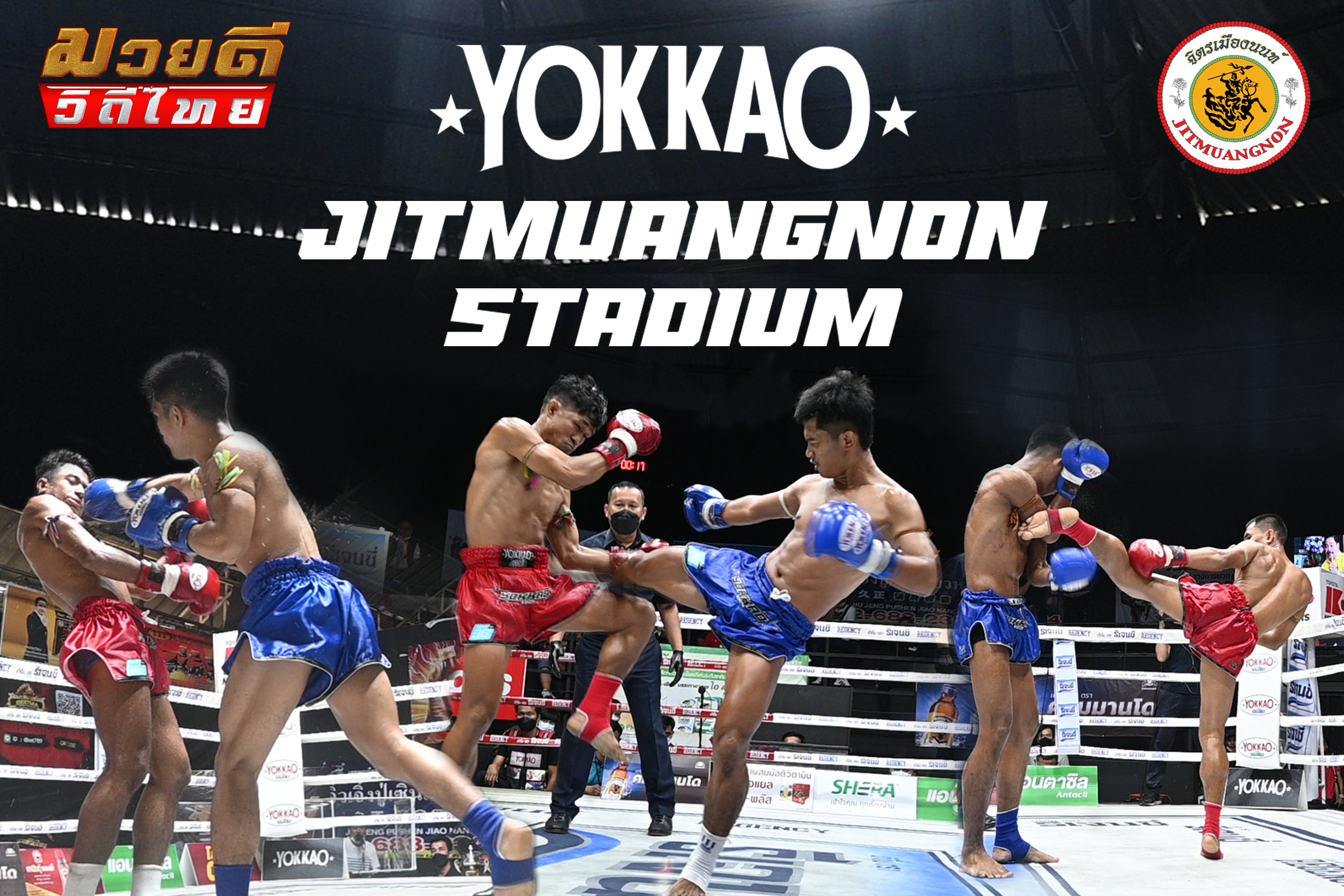 YOKKAO Boxer Portrait Image