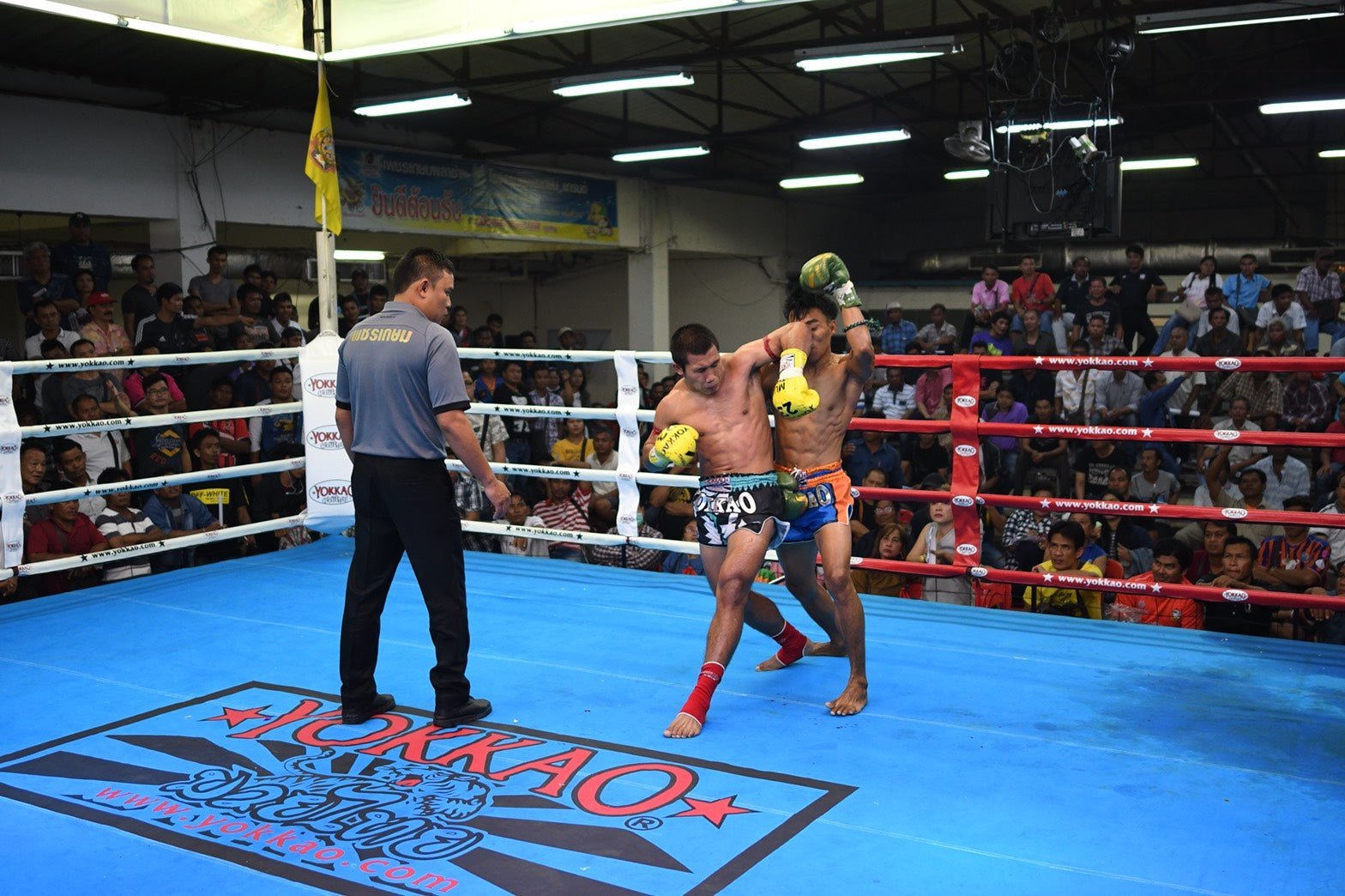 Manachai and Yodchai Deliver Double KO Wins!-YOKKAO