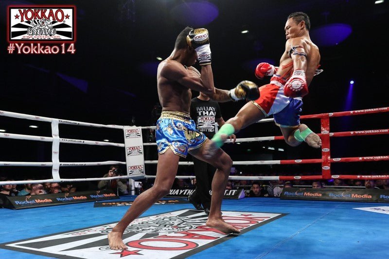 YOKKAO 14 - YOKKAO 15 Quick Results-YOKKAO