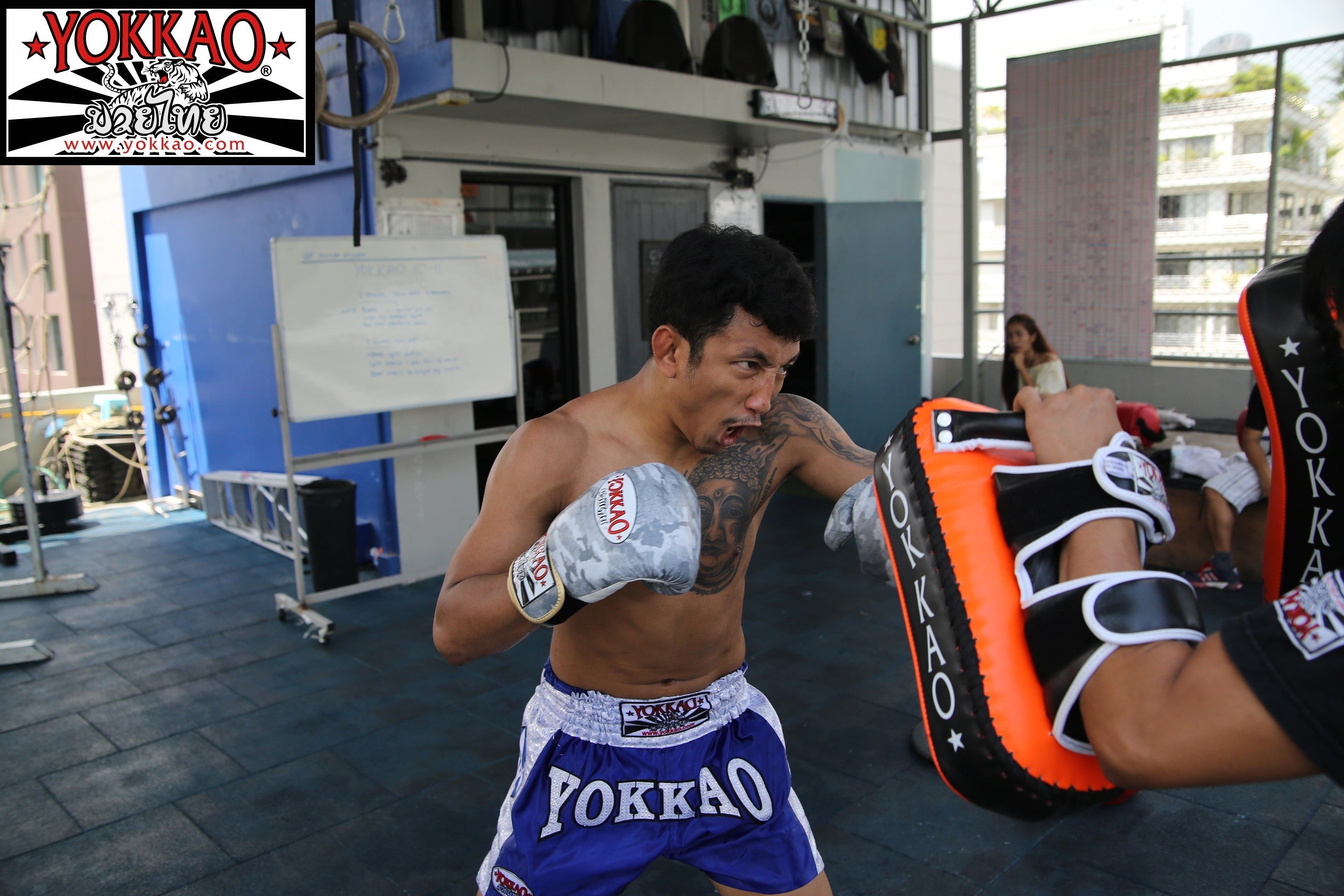 YOKKAO Breaking into the Market with Latest Innovation to Kicking Pads!-YOKKAO