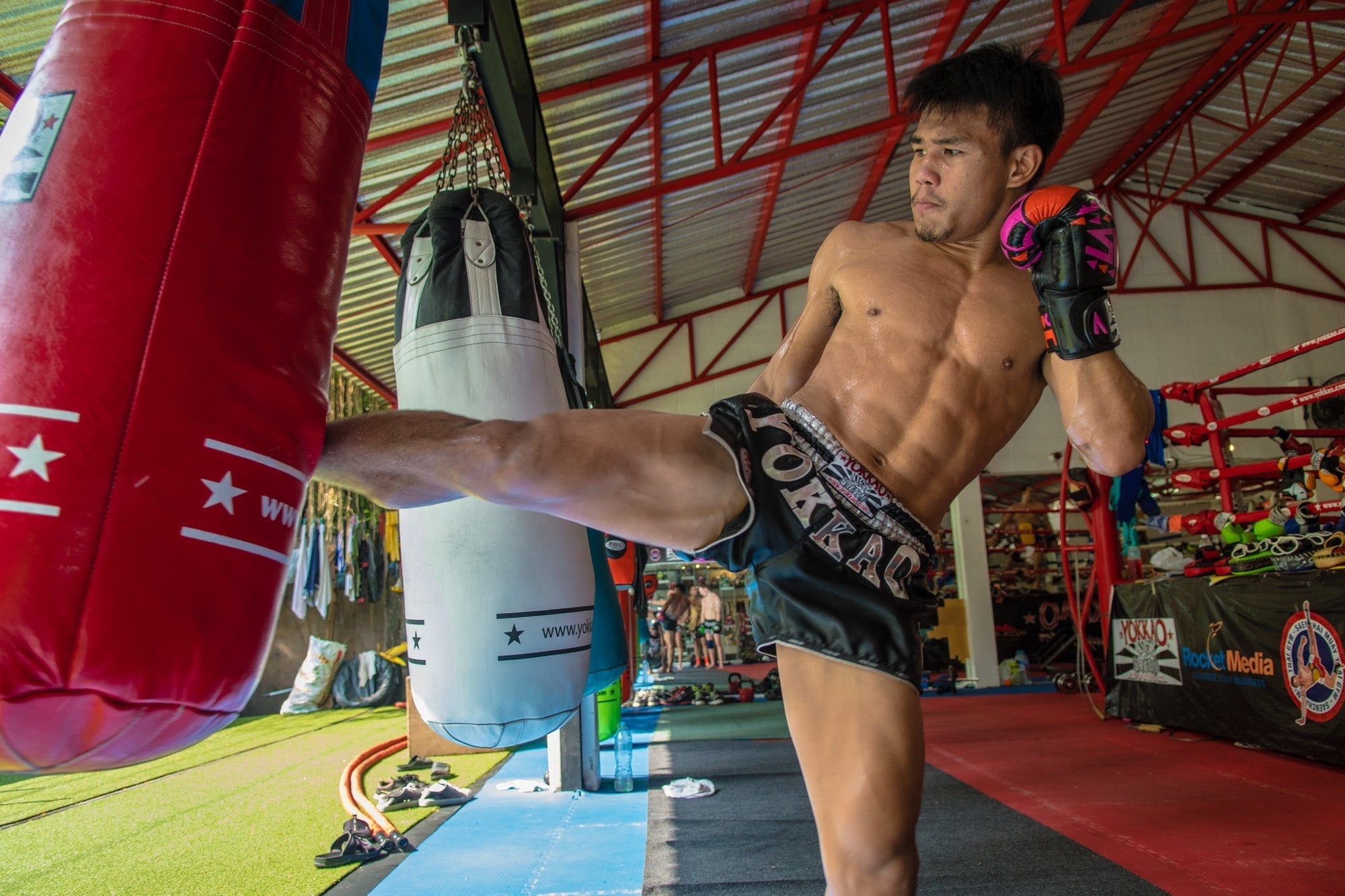 YOKKAO Next Generation Goes to Southampton UK!-YOKKAO