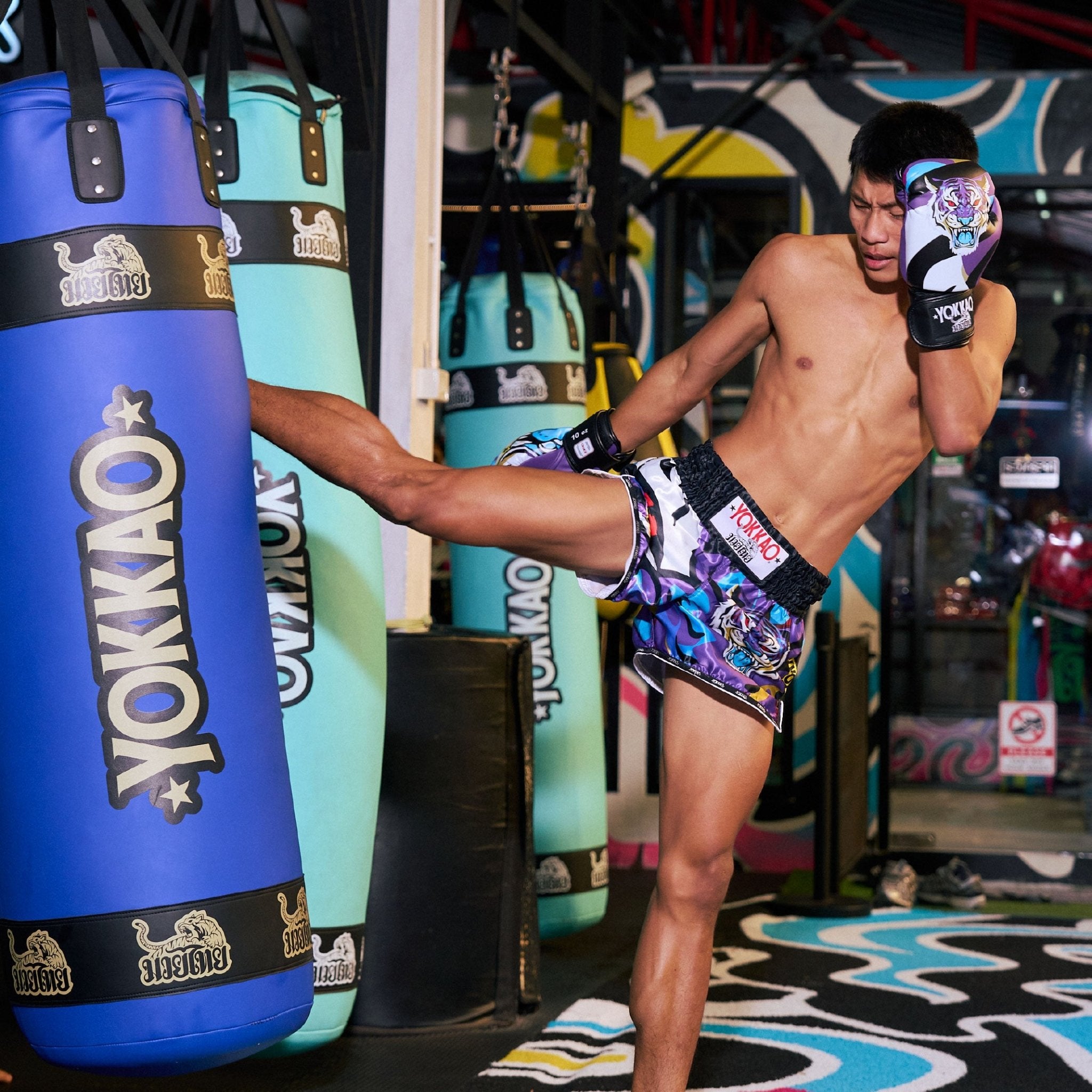 Angry Tiger Boxing Gloves