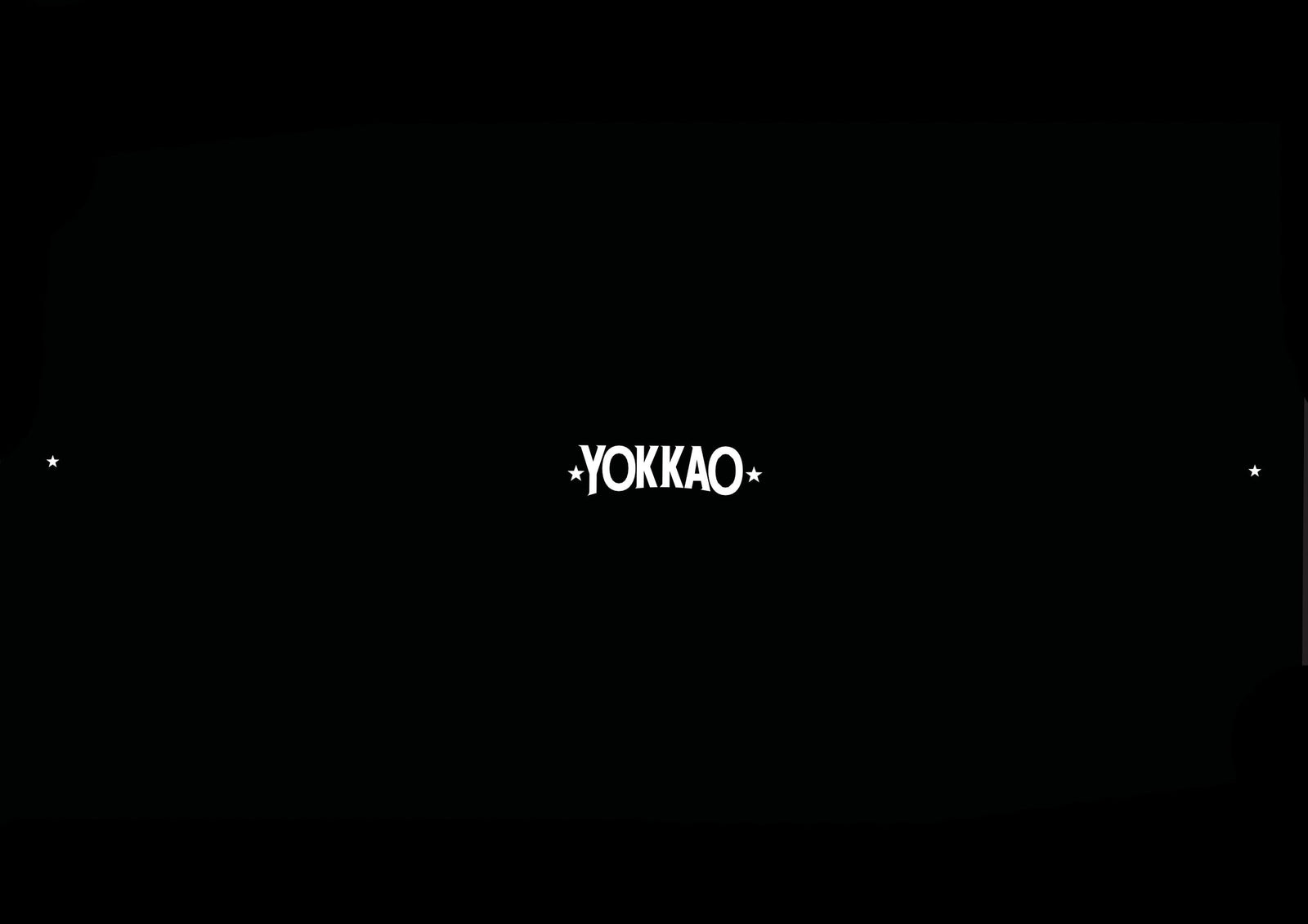 YOKKAO Fight Gloves Display