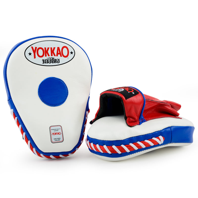 Thai Flag Curved Focus Mitts